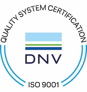 ISO 9001 Logo